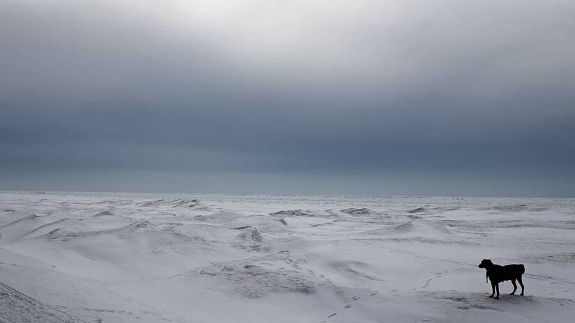 Também é considerada um deserto polar, já que quase não recebe precipitações. Fotos: Freepik