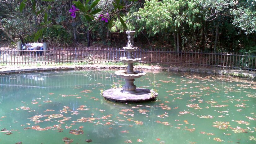 O café faz parte da essência de Lavras. Desde o século XIX, a região se destaca como importante área produtora no sul de Minas, conhecida pela qualidade de seus grãos especiais. Fotos: Wikimedia Commons