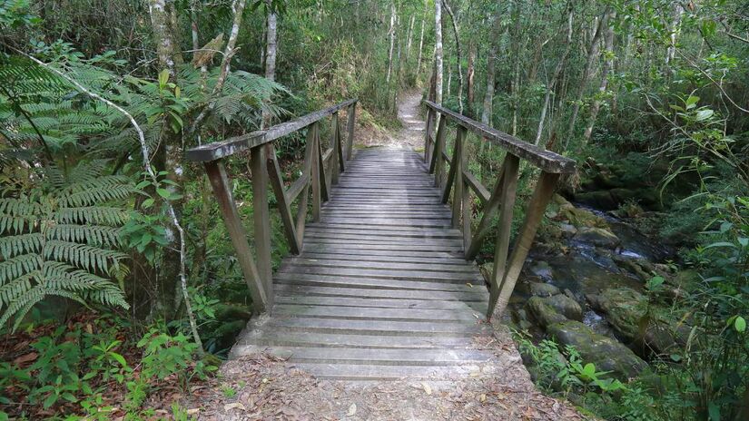 Com Índice de Desenvolvimento Humano de 0,782, segundo o IBGE, Lavras se destaca entre as cidades mais equilibradas da região em educação, saúde e estrutura urbana.