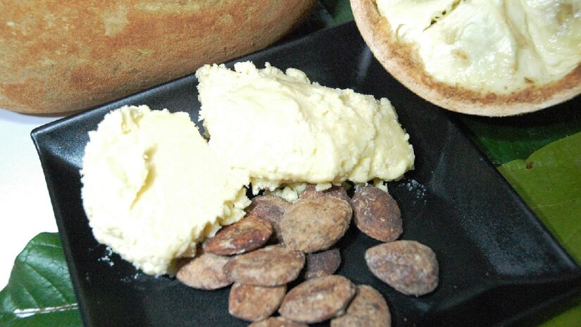 De tão semelhante ao cacau, é possível até fazer manteiga de cupuaçu. Imagem: P. S. Sena/Wikimedia Commons
