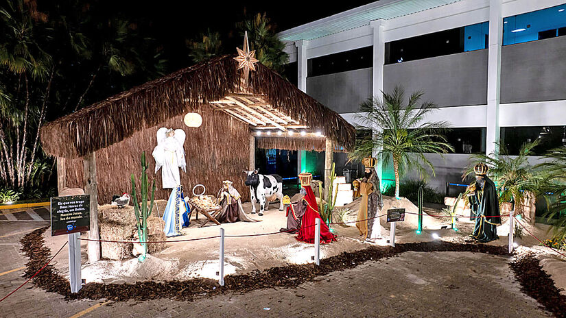 Amparo recebe Natal Ypê 2025 com shows, luzes e atividades para todas as idades   /Divulgação