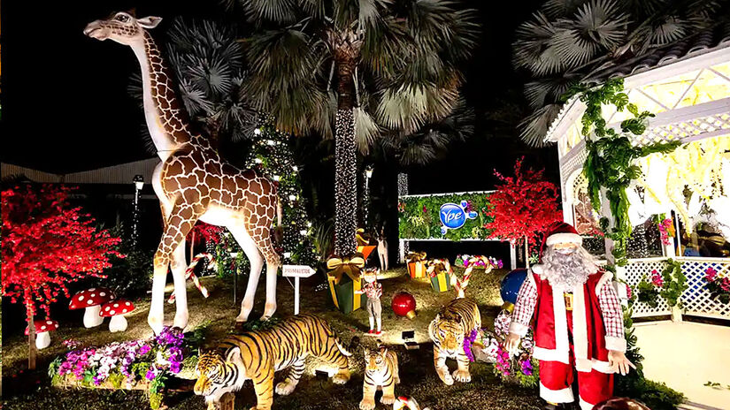 Evento segue até a véspera de Natal deste ano    /Divulgação