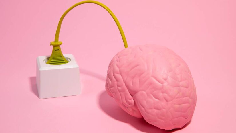 Você pode reprogramar seu cérebro em apenas 15 minutos por dia seguindo um protocolo dividido em etapas estratégicas de controle da atenção. O processo começa com a manhã de baixa dopamina que consiste em evitar o celular ao acordar e priorizar o silêncio e a hidratação para não sobrecarregar o sistema de recompensas logo cedo. A prática avança para o treino interceptivo com foco na respiração e segue para blocos de trabalho intenso com eliminação total de distrações externas. O ciclo se encerra com pausas estratégicas de até 20 minutos que são fundamentais para que o cérebro consiga consolidar as novas conexões neurais criadas durante o esforço cognitivo.