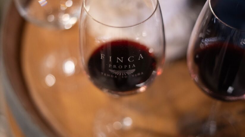 Conceito de propriedade compartilhada, em que qualquer pessoa pode ter seu próprio lote de vinhedo, com contrato registrado em cartório em Mendoza, mas sem precisar administrar a produção.