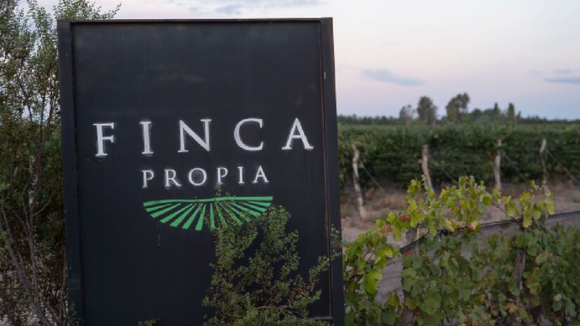 Um conceito que une investimento, experiência sensorial e legado familiar vem ganhando força entre brasileiros apaixonados por vinho.