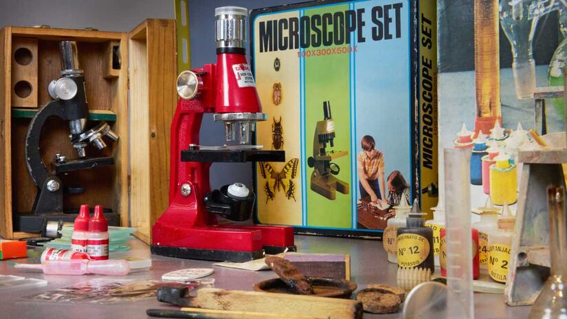 Organizada em três núcleos, a exposição reúne peças produzidas entre os anos 1940 e 1980, período de expansão da indústria nacional e de grandes transformações sociais e econômicas. 