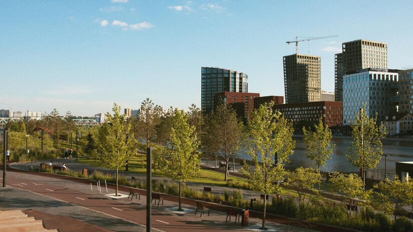 Árvores funcionam como um ar-condicionado natural, filtrando o ar e oferecendo sombra