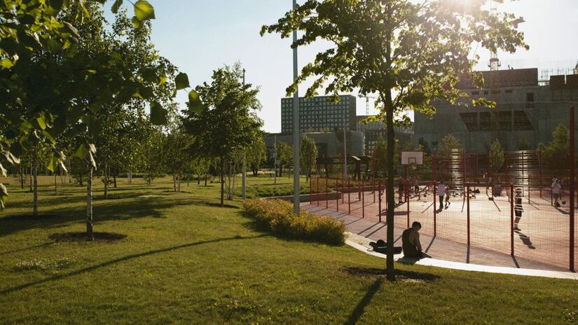 O reflorestamento urbano é uma das soluções mais simples e eficazes contra o calor extremo (Fotos: Freepik)