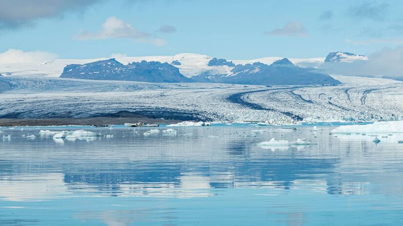 Não existem árvores nem arbustos; apenas musgos, líquenes e vida marinha.