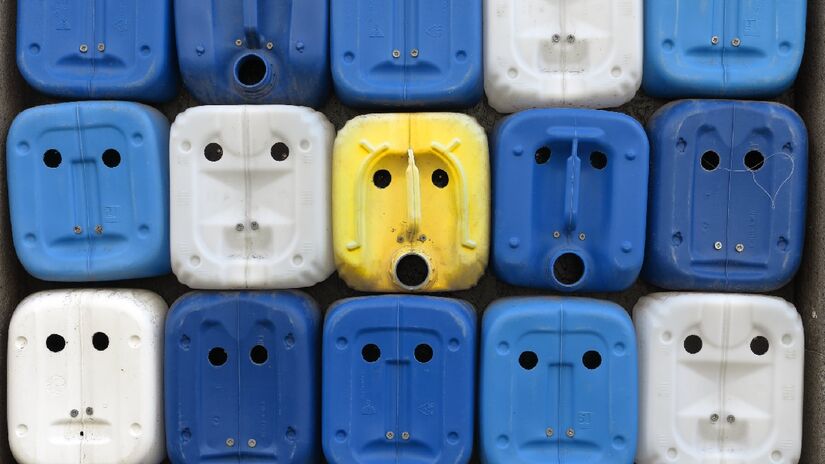 Esses galões parecem estar surpresos, não? Imagem: TeWeBs/Wikimedia Commons