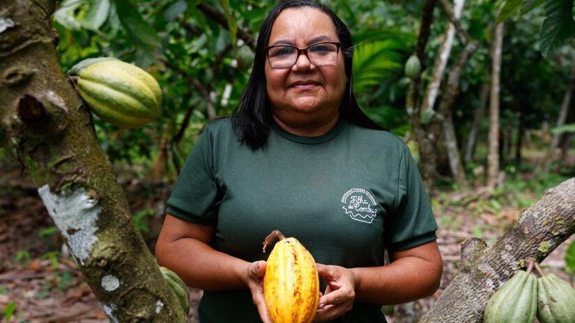 A Filha do Combu, comandada pela dona Nena, transforma cacau orgânico em chocolate premiado no meio da floresta amazônica (Foto: Tânia Rêgo/Agência Brasil)