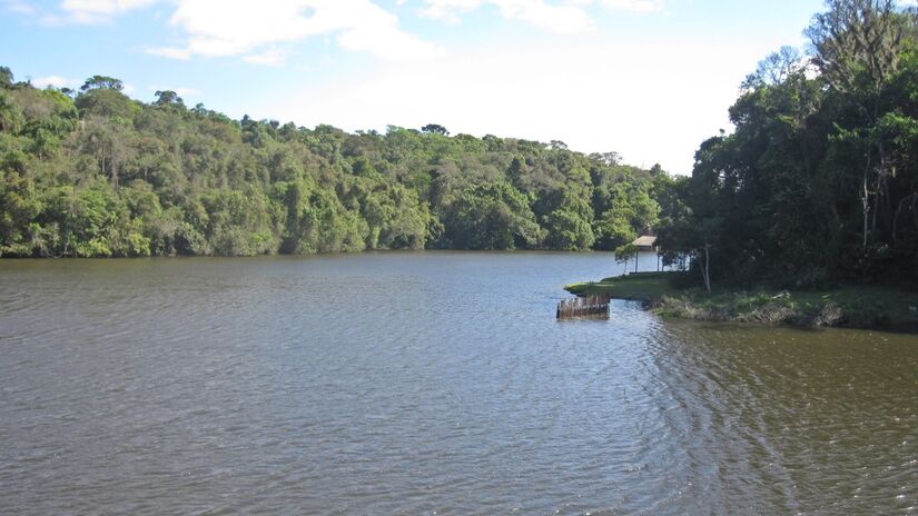 A região também cumpre papel estratégico para a segurança hídrica da população. Dentro do parque está a Represa da Graça, responsável por abastecer parte da região metropolitana. Foto: Wikimedia Commons