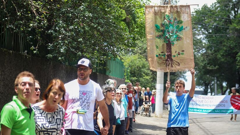 No fim de 2024, a Justiça proibiu qualquer corte de árvores no local/Lucas Martins/Divulgação