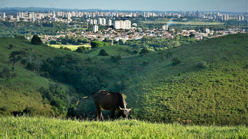 Espaços verdes, opções culturais e iniciativas que promovem o engajamento comunitário também são fatores que enriquecem a experiência de viver em São José dos Campos, tornando-a referência em felicidade urbana.