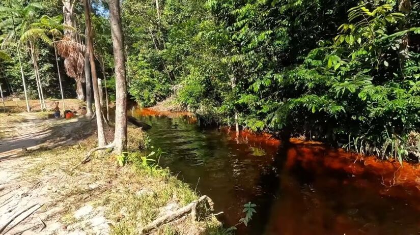 O principal motivo para o tom avermelhado é a mistura de águas de pH ácido com a grande quantidade de vegetação da Amazônia