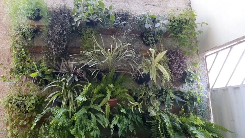 Além disso, é possível optar por plantas ornamentais, aromáticas ou hortícolas (Fotos: reprodução YouTube/Quintal da Zizi)