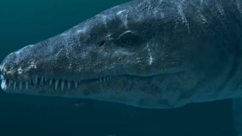 O pliossauro era um predador de topo, capaz de atacar desde outros répteis marinhos até indivíduos da própria espécie 