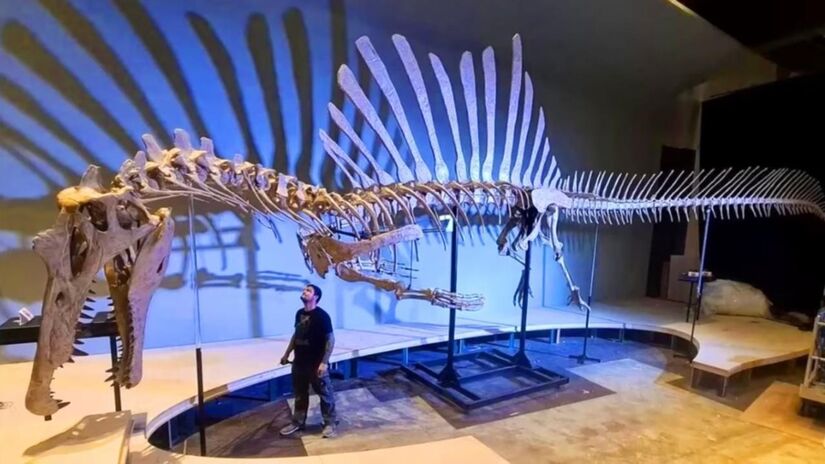 O fóssil foi avistado por acaso durante uma caminhada próxima à baía de Kimmeridge, em Dorset, no sul da Inglaterra (Fotos: Youtub/Reprodução)