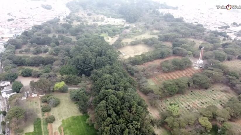 O cemitério virou um patrimônio vivo da cidade de São Paulo - Reprodução/YouTube