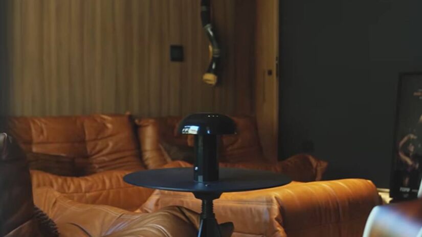 A decoração da residência de Ana Castela é marcada pela temática de natureza e referências equestres. Elementos como uma escultura e um quadro de cavalos adornam o ambiente.