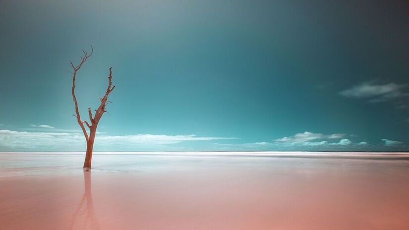 5. Parque Estadual da Ilha do Cardoso de nível Estadual, localizado em Cananéia, em São Paulo (Foto: Thiagomarcelcampi/Wikimedia Commons)