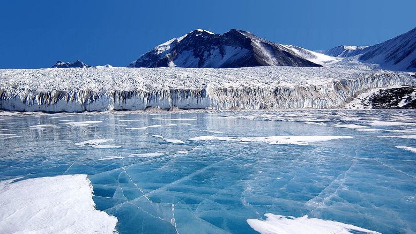 Foram encontrados no mar da Antártica. Imagem: Domínio Público