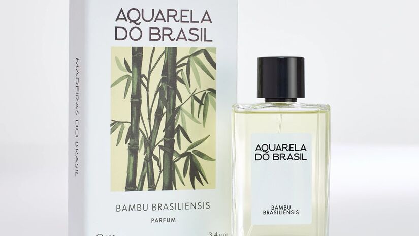 Aquarela do Brasil: Bambu Brasiliensis (Foto: Divulgação, Aquarela do Brasil)