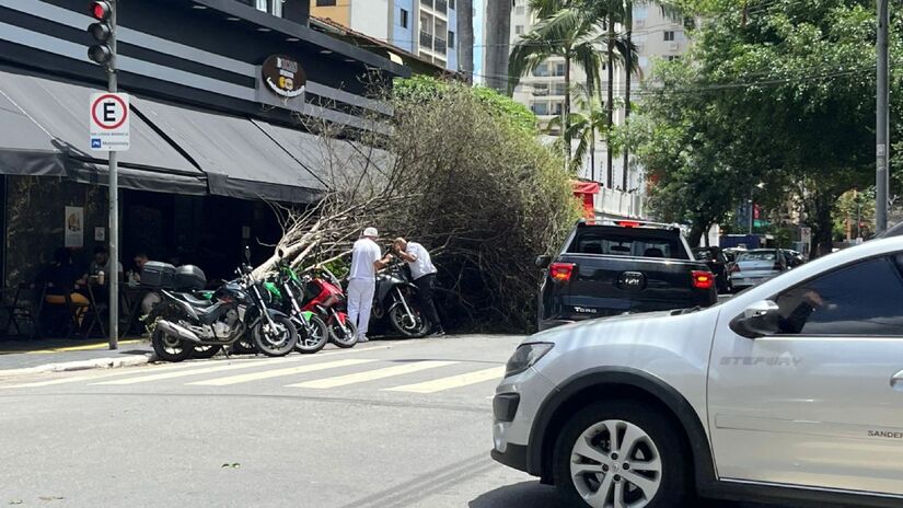 Restaurante fica na na esquina da avenida Sabiá com a rua Canário, em Moema.