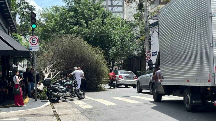 Árvore caiu em frente ao restaurante Bocas Burger.