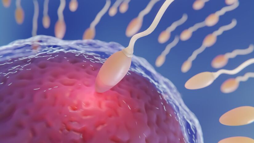 Os pesquisadores apontam que a própria elasticidade natural do flagelo não explica completamente o deslocamento estranho (Fotos: Freepik)
 