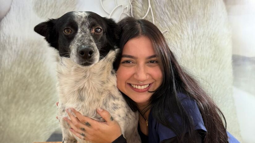  o vira-lata recuperou totalmente uma das visões, enquanto a outra foi salva 70%/Divulgação