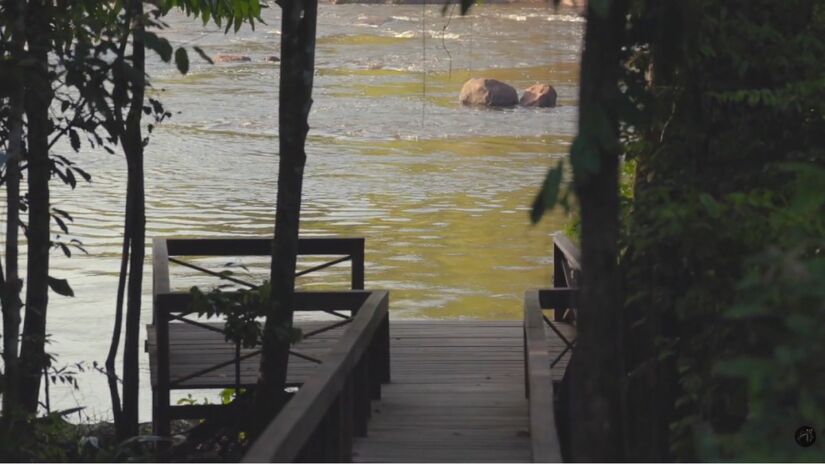 O Parque Nacional Montanhas do Tumucumaque preserva uma das áreas mais remotas e intocadas da Amazônia