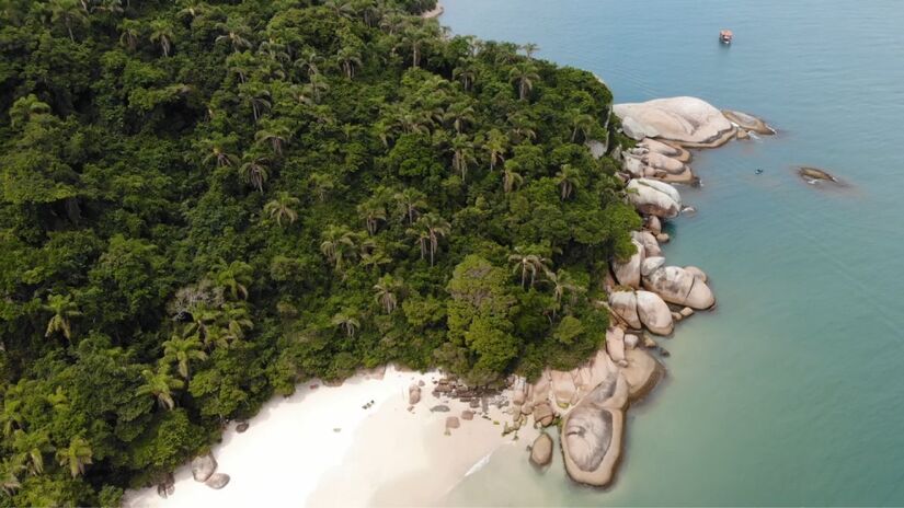 O controle rigoroso de visitantes ajudou a melhorar a conservação e aumentou o interesse dos turistas