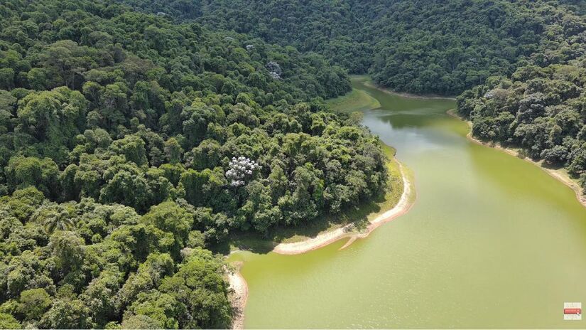 Inserido em um dos biomas mais ameaçados do país, o núcleo reforça a importância da preservação e exige que os visitantes respeitem orientações de segurança e eventuais interdições nas trilhas (Foto: Reprodução/Youtube)