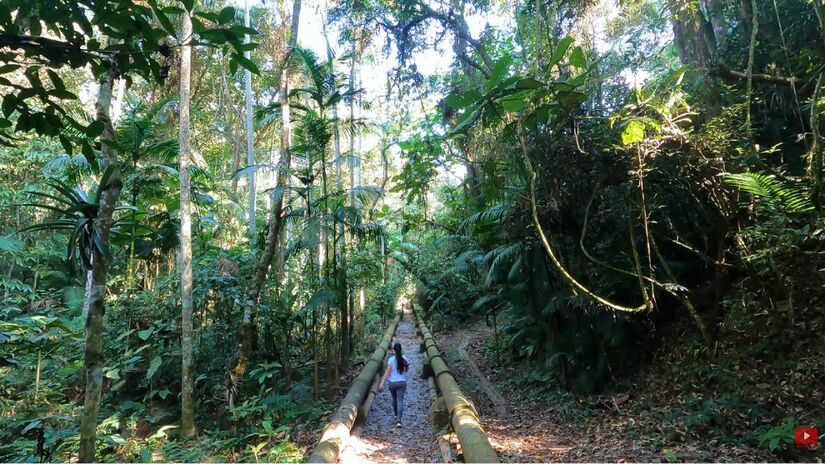 As trilhas autoguiadas variam de caminhos leves a percursos mais longos, incluindo a Trilha da Cachoeira, que cruza o ribeirão do Engordador e revela várias quedas d'água (Foto: Reprodução/Youtube)