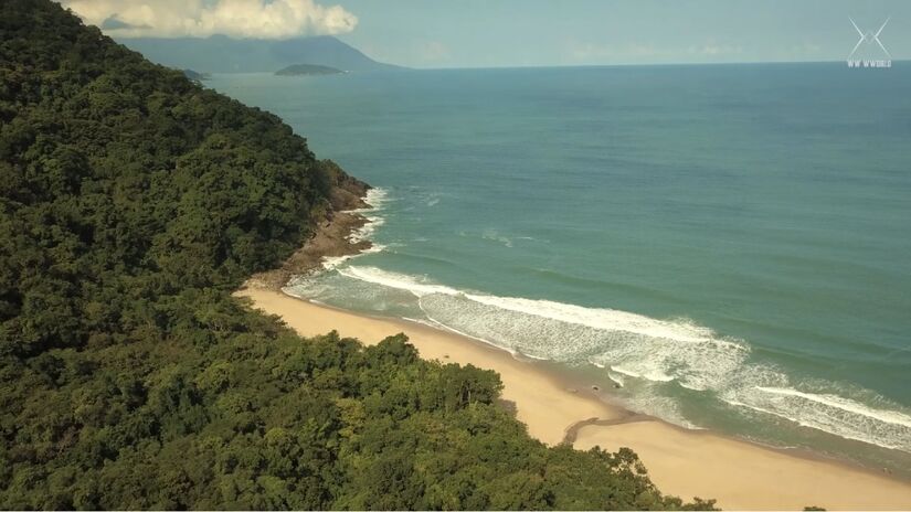 A Praia Brava em São Sebastião é um refúgio selvagem entre Boiçucanga e Maresias, apelidado de "Havaí brasileiro" pelas ondas fortes e mar cristalino