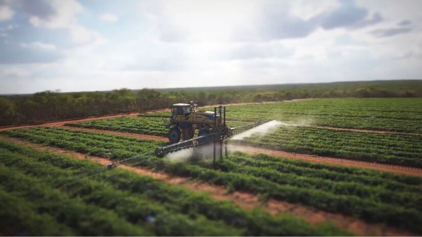 A empresa exporta melões e melancias para mercados da Europa, América e Oriente Médio