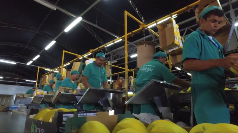 A operação movimenta milhares de empregos e impulsiona o desenvolvimento regional