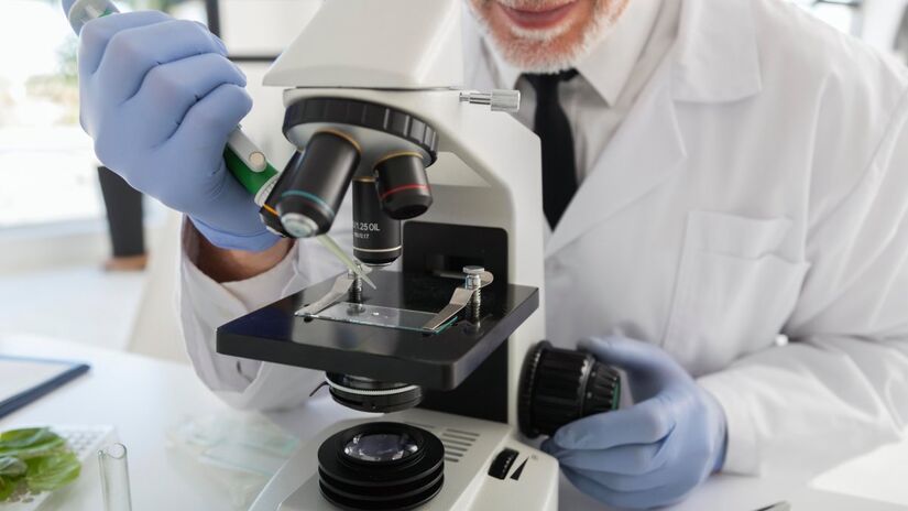 Os cientistas ainda não compreendem totalmente os princípios físicos que orientam o movimento de microrganismos