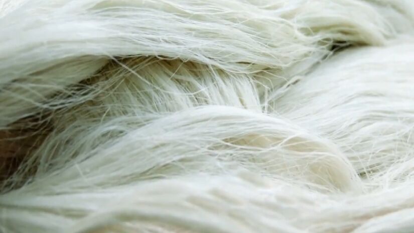 Os materiais vegetais podem durar muito tempo do que os de poliuretano (PU), material sintético vendido como 'couro fake' - (Reprodução/YouTube)