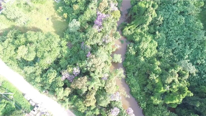 Juquitiba é a cidade escondida em SP que une natureza, aventura e tranquilidade a poucos quilômetros da capital