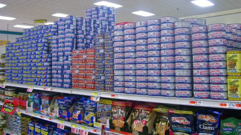 Chamado atum branco possui maior ciclo de vida. Imagem: Daniel Case/WIkimedia Commons