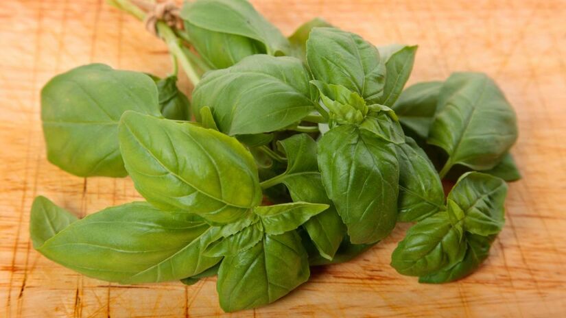 Manjericão considerado sagrado em algumas regiões da Índia, é frequentemente colocado próximo a entradas para atrair boas energias e filtrar o que é visto como negativo. Foto: Freepik