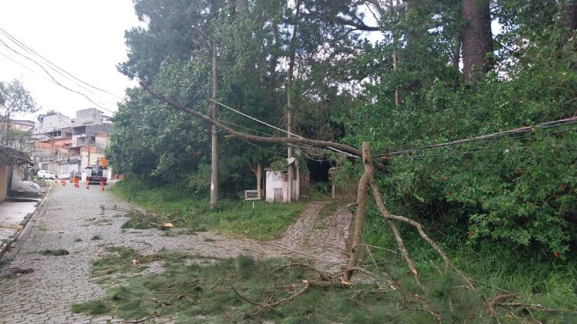 Árvores atingiram os fios em diversos pontos da região | Divulgação/Enel