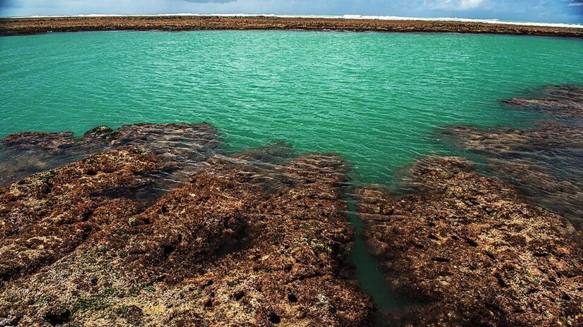 1. Praia do Patacho, em Porto de Pedras, Alagoas (Foto: C. R. Malaquias/Wikimedia Commons)
