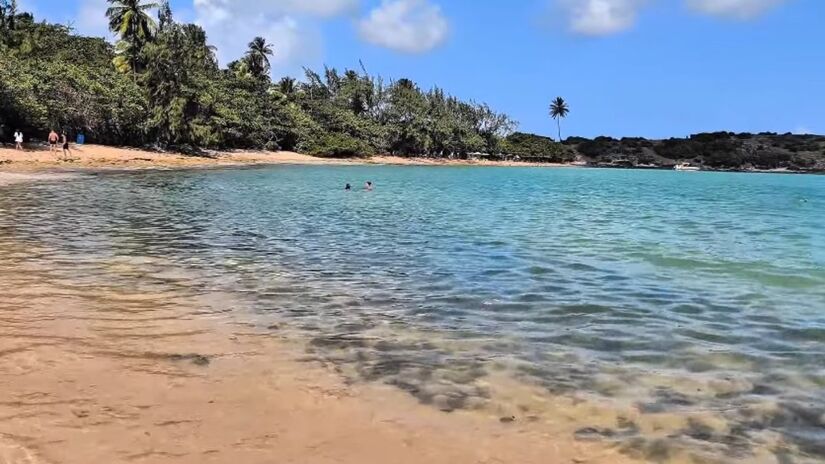Para proteger o local, há um limite diário de visitantes e o tempo máximo de permanência na ilha costuma ficar entre cinco e oito horas (Foto: Reprodução YouTube/Viagens da Gabi)