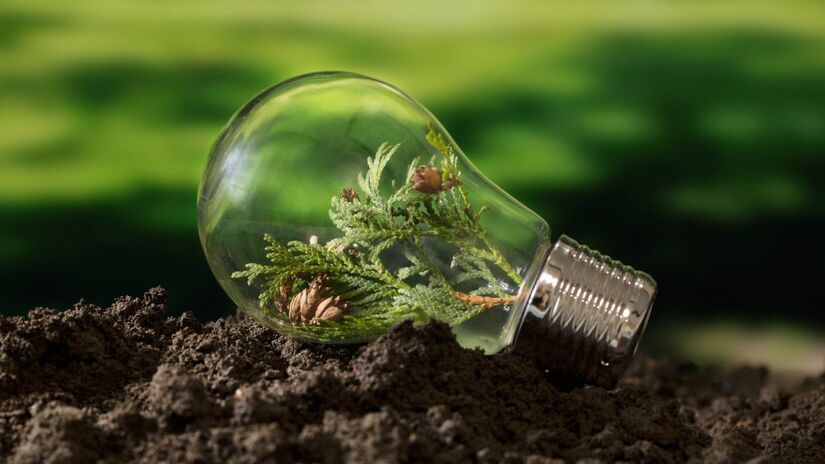 Brasil pode criar 760 mil vagas em bioenergia até 2030, segundo estudo internacional (Fotos: Freepik)