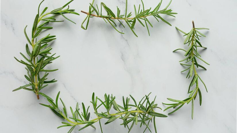 Romero (alecrim) ligado a vitalidade e saúde, é utilizado em portas, arranjos e vasos para representar bem-estar e clareza mental no dia a dia. Foto: Freepik