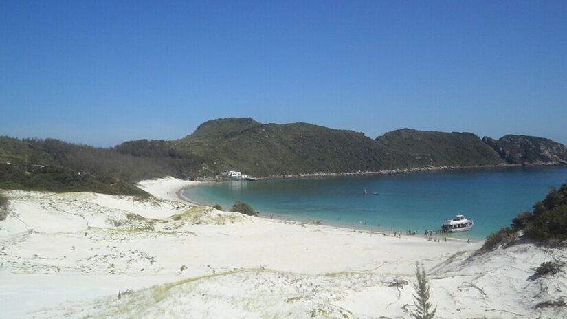 Peixes, tartarugas, arraias e golfinhos circulam pela região, transformando os mergulhos em experiências marcantes (Foto: Edulonde/Wikimedia Commons) 