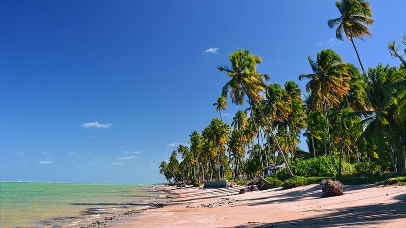 2- Praia do Patacho, Alagoas (Foto: Rafael Vianna Croffi/Wikimedia Commons)